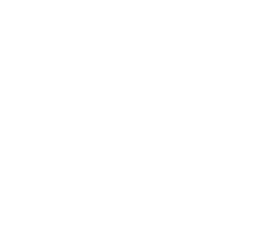 Bruno Pereira Matosinhos 2025