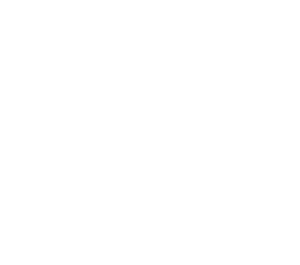 Bruno Pereira Matosinhos 2025