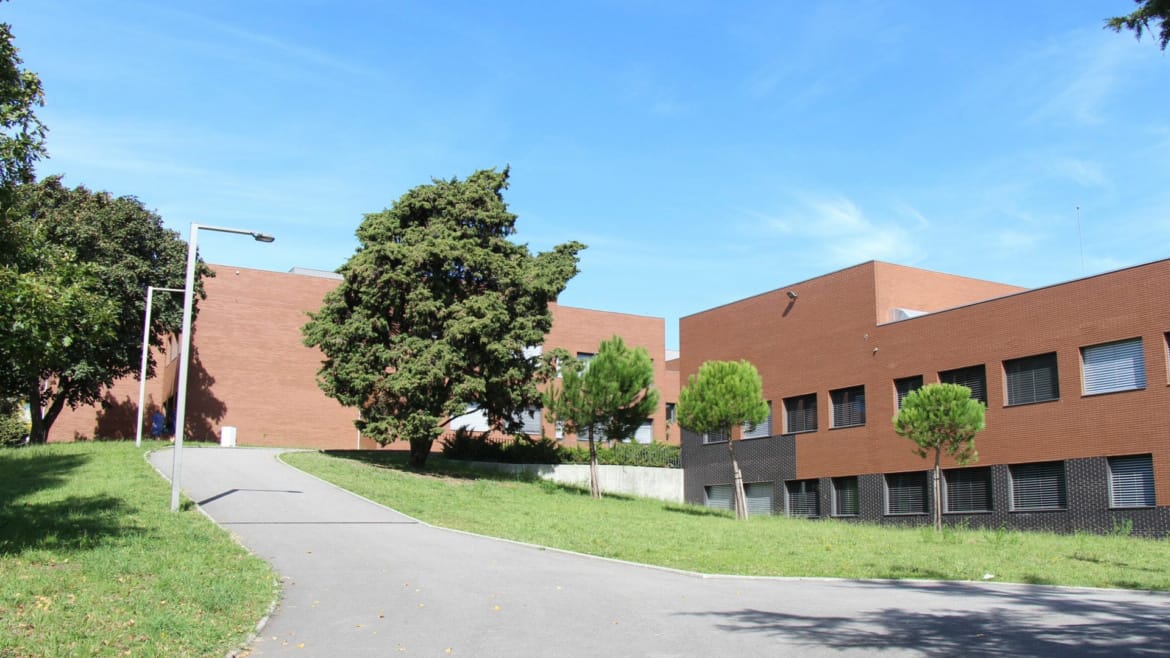 Educação