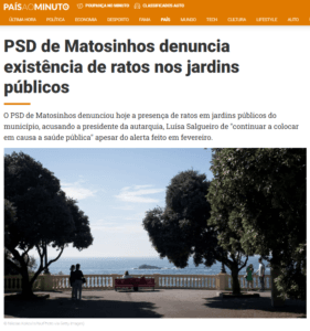 PSD de Matosinhos denuncia existência de ratos nos jardins públicos
