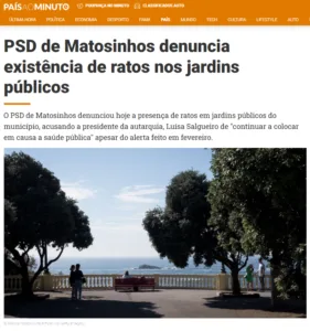 PSD de Matosinhos denuncia existência de ratos nos jardins públicos